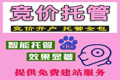 信息流广告的个性化投放策略及效果评估案例